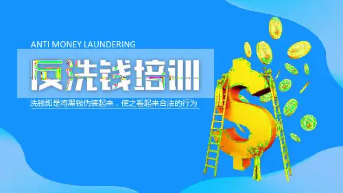 2020银行金融机构反洗钱开展专题培训ppt