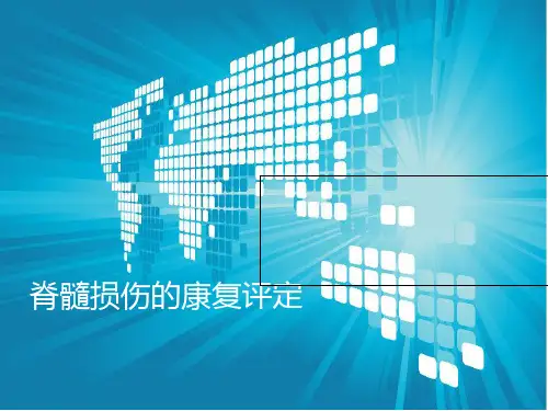 脊髓损伤的康复评定 