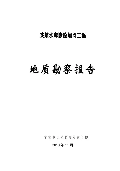 水库除险加固工程地质勘察报告_secret