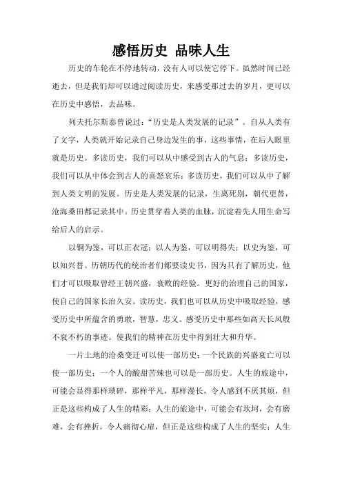 感悟历史品味人生