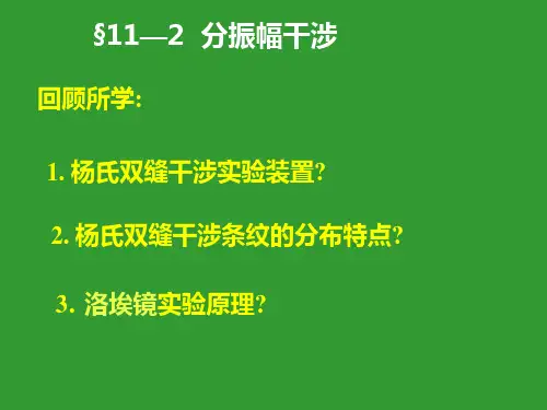 第十一章：波动光学(二)ppt