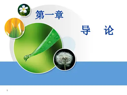 金融市场课件第一章