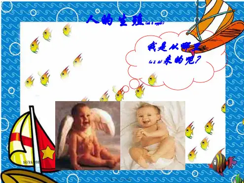 七年级生物下册 4.1.2《人的生殖》课件2