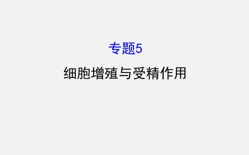 高考生物 二轮复习 专题五 细胞增殖与受精作用