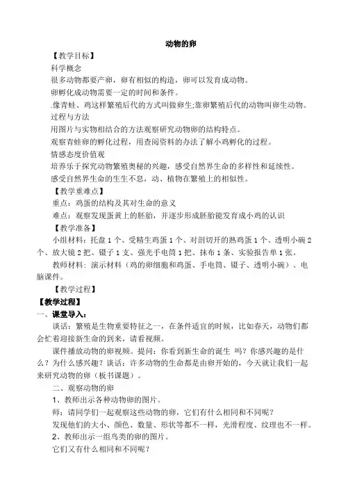 四年级下册科学教案动物的卵教科版(12)