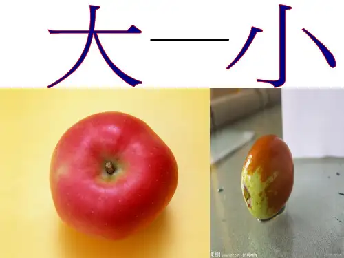 一年级反义词PPT课件