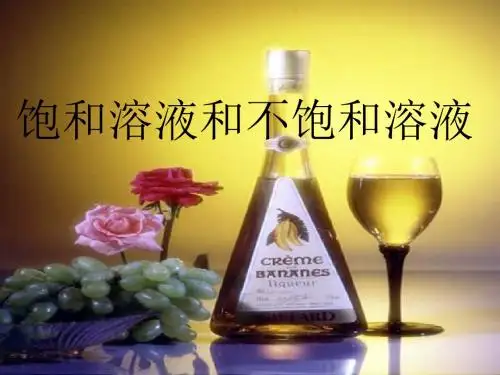 【初中化学】饱和溶液和不饱和溶液PPT课件 人教版