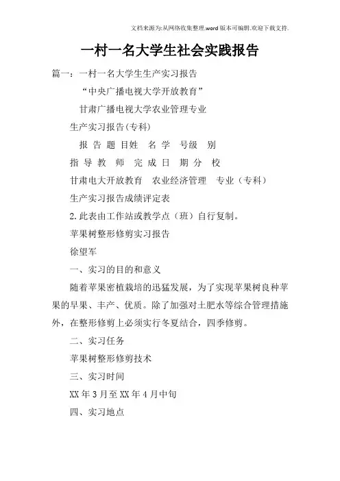 一村一名大学生社会实践报告