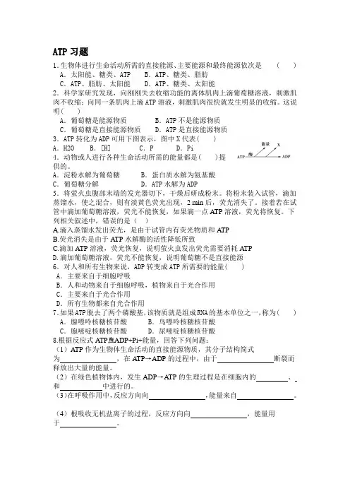 高中生物 ATP习题