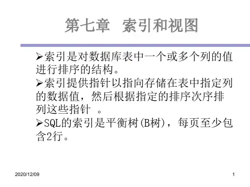 G-索引和视图PPT教学课件
