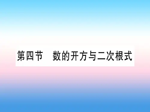 (宁夏专版)中考数学复习第1轮考点系统复习第1章数与式第4节数的开方与二次根式(讲解)课件