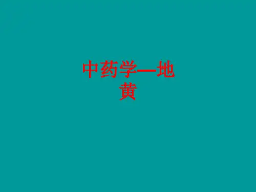 [课件]中药学—地黄PPT