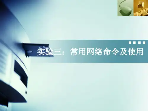 常用网络命令及使用