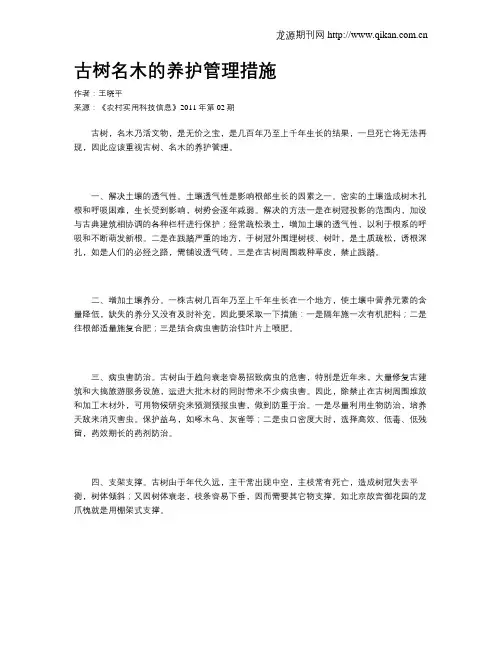 古树名木的养护管理措施