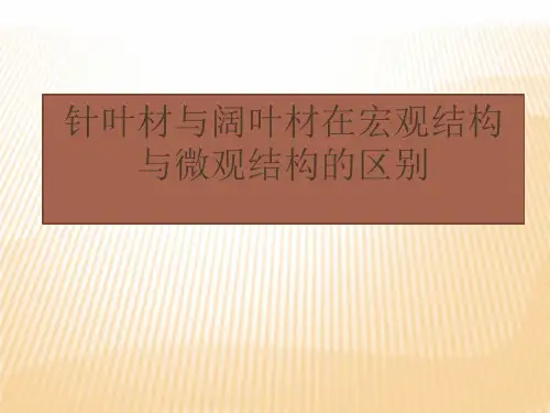 针叶材与阔叶材在宏观与微观结构的区别[优质ppt]
