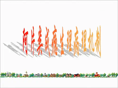 阿片类依赖机制2011-2