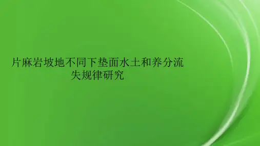 片麻岩坡地不同下垫面水土和养分流失规律研究