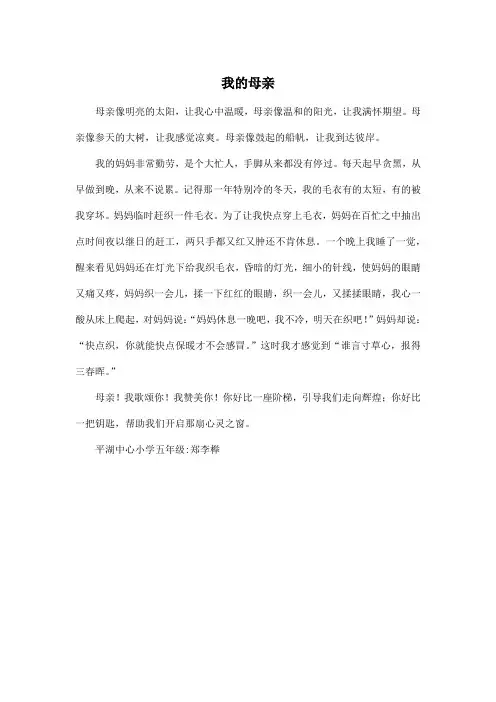 我的母亲_小学五年级作文400字