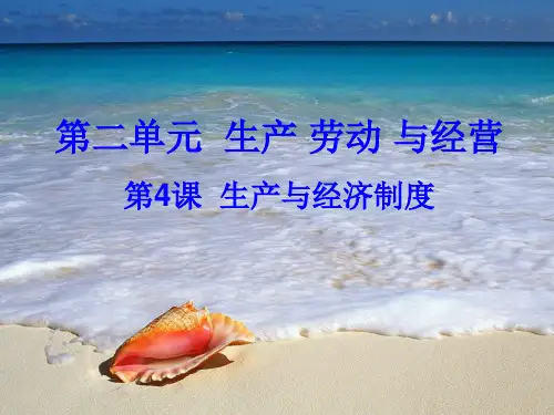 2014经济生活第四课复习