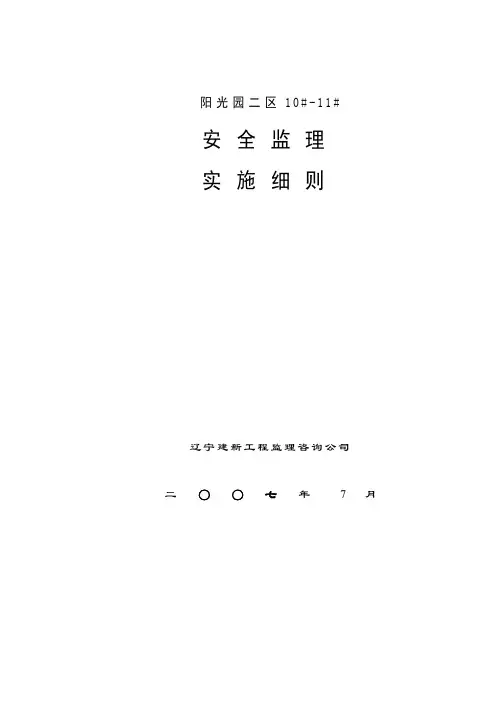 通用安全监理细则