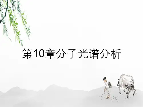 第10章分子光谱分析