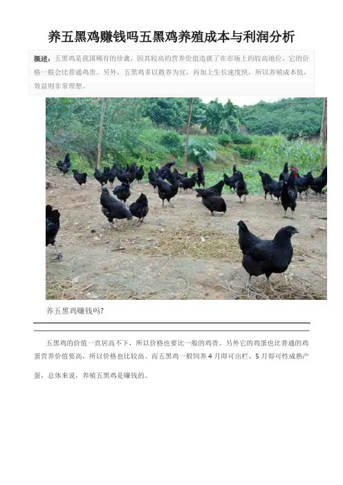 养五黑鸡赚钱吗五黑鸡养殖成本与利润分析