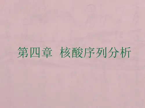 第四章核酸序列分析