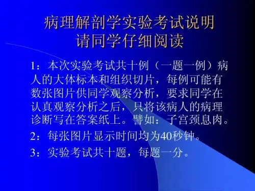 病理实验模拟考ppt