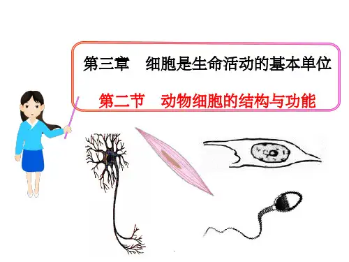动物细胞的结构和功能(苏教版)