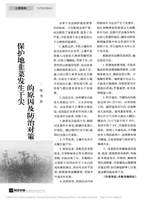 保护地韭菜发生干尖的原因及防治对策_陈书乔