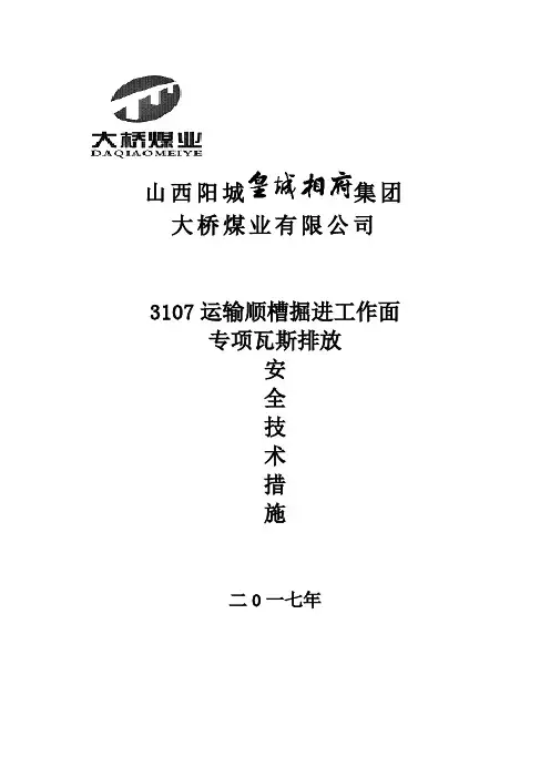 3107运输顺槽掘进工作面专项瓦斯排放安全技术措施