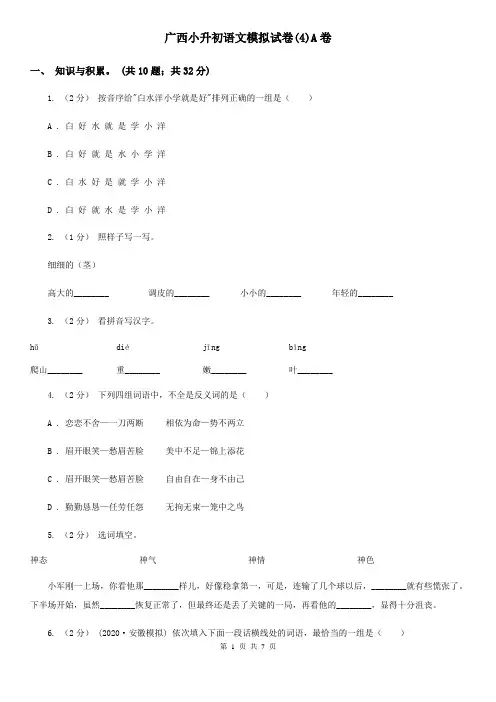 广西小升初语文模拟试卷(4)A卷