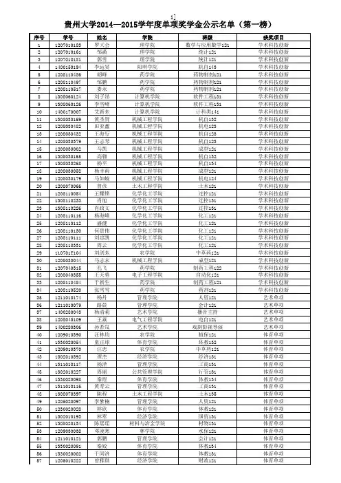 2015单项奖学金名单
