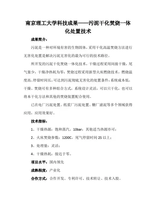 南京理工大学科技成果——污泥干化焚烧一体化处置技术