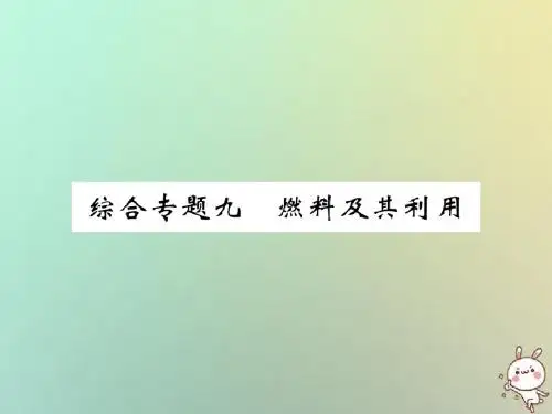 2018年秋九年级化学上册 第二部分 期末复习攻略 综合专题九 燃料及其利用
