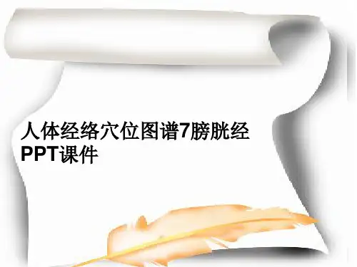 人体经络穴位图谱7膀胱经 PPT课件