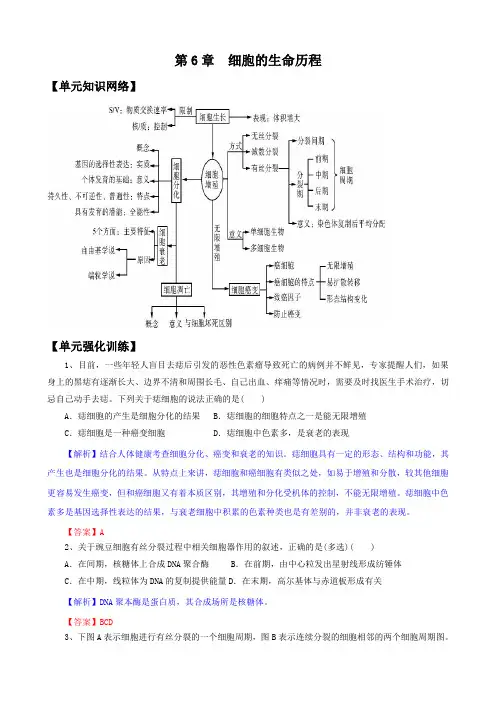 2012版生物一轮精品复习学案：第6章 细胞的生命历程(单元复习)(必修1)