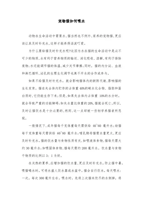 宠物猫如何喂水