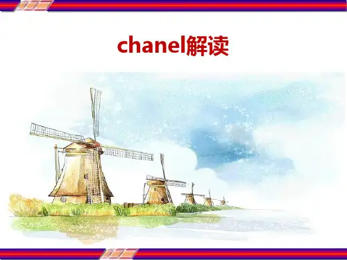 chanel解读 PPT