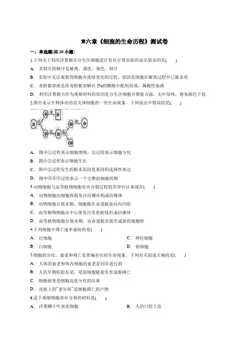 生物人教版本高中必修一第六章《细胞的生命历程》测试卷含解析
