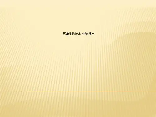 环境生物技术  生物浸出
