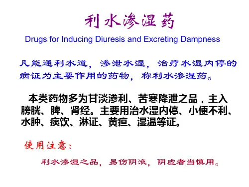 10利水渗湿药(中药学)PPT课件