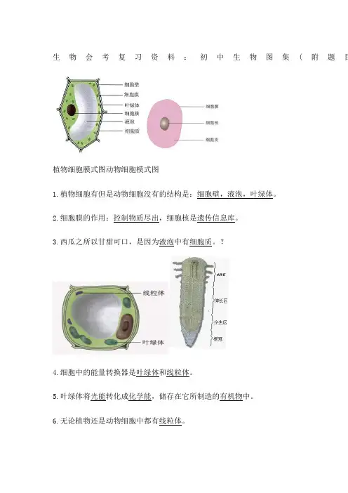 生物会考复习初中生物图集附题目人教版