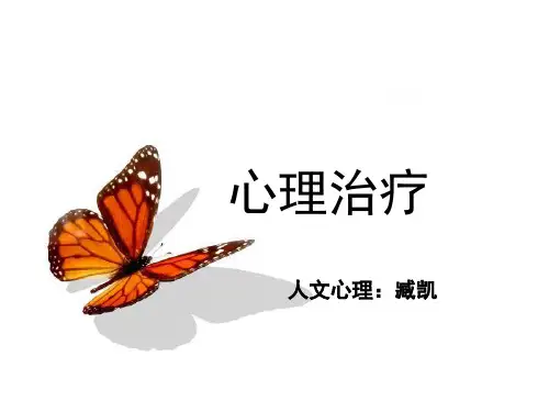 第二章精神分析与心理动力学治疗