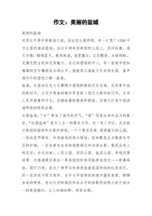 作文：美丽的盐城_作文_5