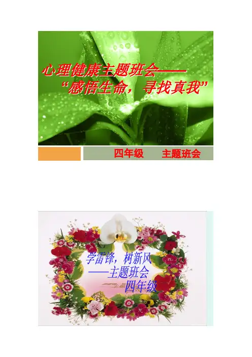班会照片