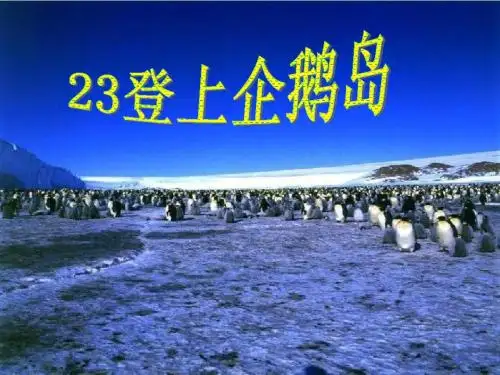 《登上企鹅岛》课件
