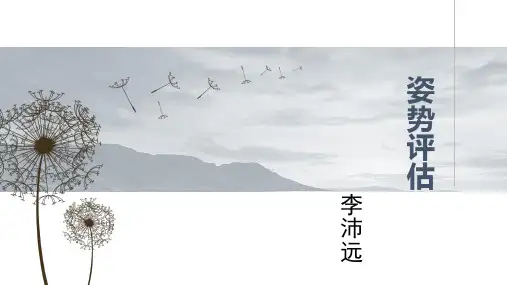 姿势评估