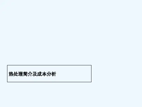 热处理简介及成本分析 PPT