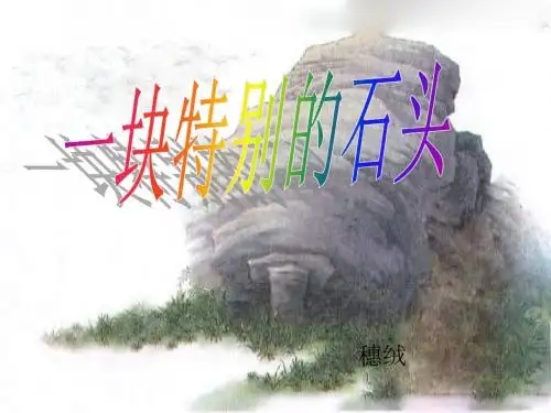 一块特别的石头ppt